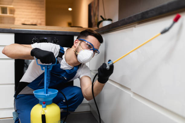 Best Pest Control Near Me  in Sun Village, CA