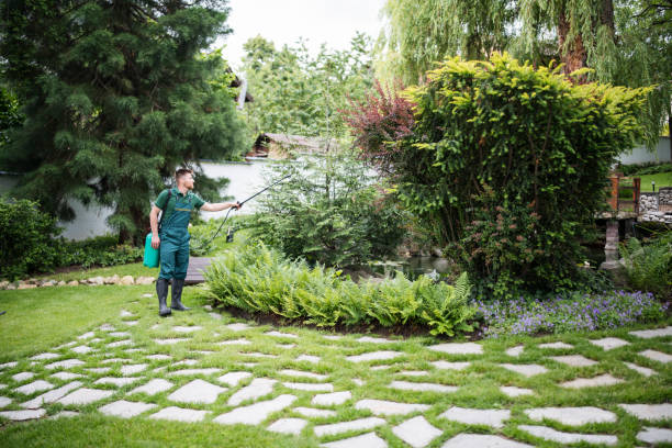 Best Cockroach Control Services  in Sun Village, CA