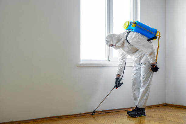 Best Pest Control for Homes  in Sun Village, CA