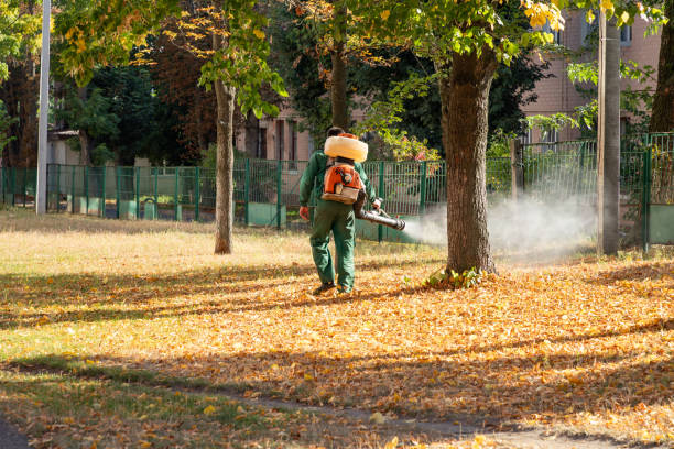 Best Pest Inspection Near Me  in Sun Village, CA