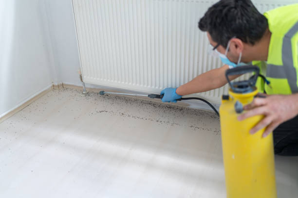Pest Prevention Services in Sun Village, CA